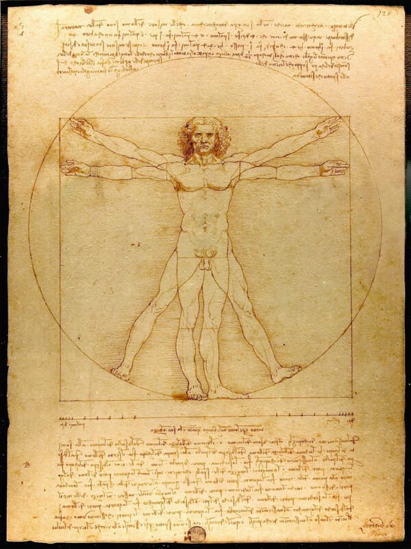Da Vinci - The Vitruvian Man, Leinwanddruck und Poster / canvas print and poster