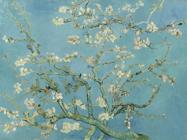 Van Gogh - Almond Blossom, Leinwanddruck und Poster / canvas print and poster