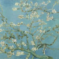 Van Gogh - Almond Blossom, Leinwanddruck und Poster / canvas print and poster