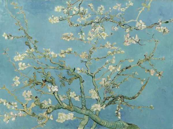 Van Gogh - Almond Blossom, Leinwanddruck und Poster / canvas print and poster